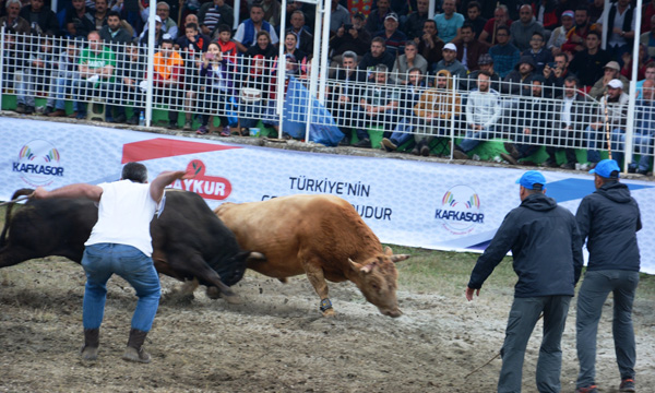 Bo?a güre?leri heyecan yaratt?