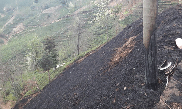 Çoruh Edaşdan uyarı