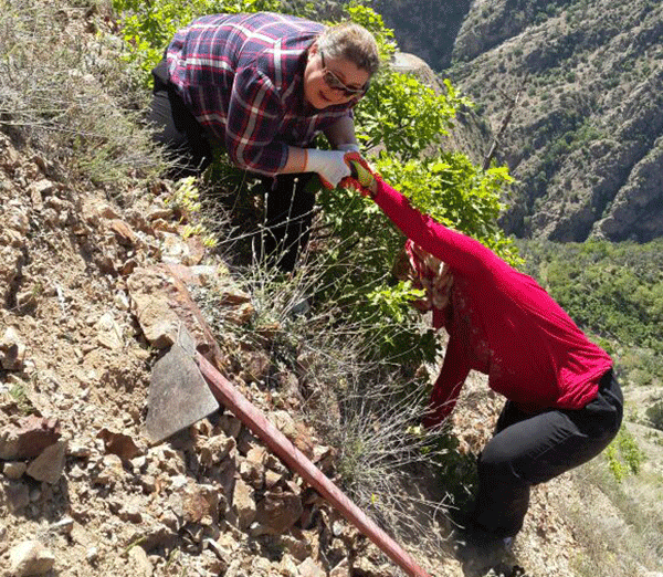 Artvin dağlarında İş Kur imzası