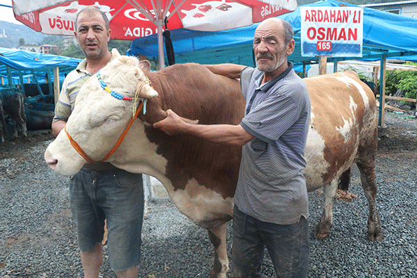 Bir tonluk kurban satıldı