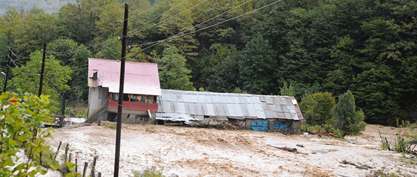 Sağanak yağış Artvini de vurdu