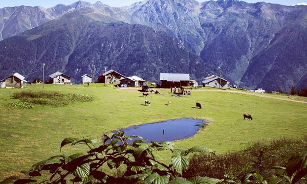 Rize yaylaları ilgi görüyor