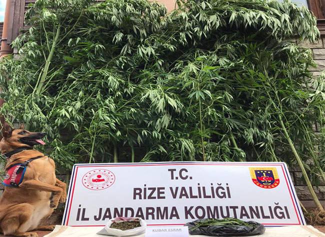 Jandarmanın aylık raporu belli oldu