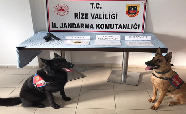 Jandarma Kasım ayı raporu