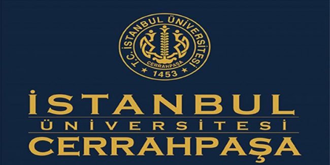 İstanbul Üniversitesi-Cerrahpaşa Rektörlüğü 2 Sözleşmeli Bilişim Personeli alıyor