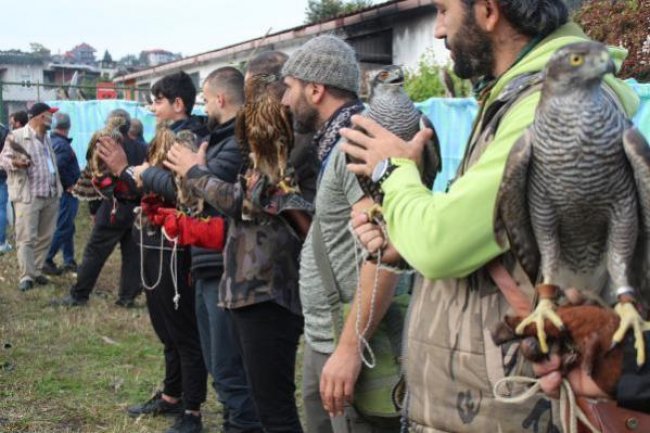 Güzellik sonrası doğaya salındılar