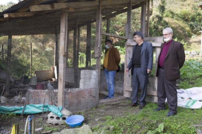 SOKAK KÖPEKLERİ 80 TAVUĞU PARÇALADI