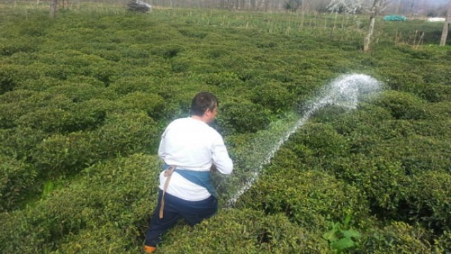 Gübre fiyatları düşürüldü