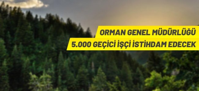 Orman Genel Müdürlüğü 5 bin Geçici İşçi alacak