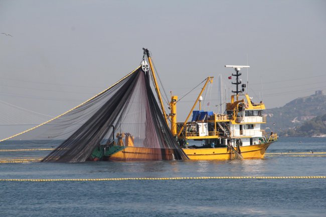 Balık yasağı başladı