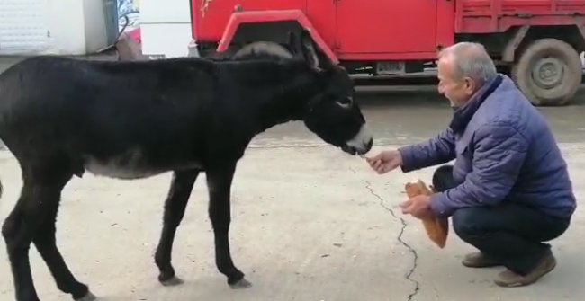 KARAKAÇAN PETROLE SIĞINDI