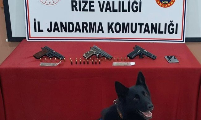 Jandarma’dan silah operasyonu