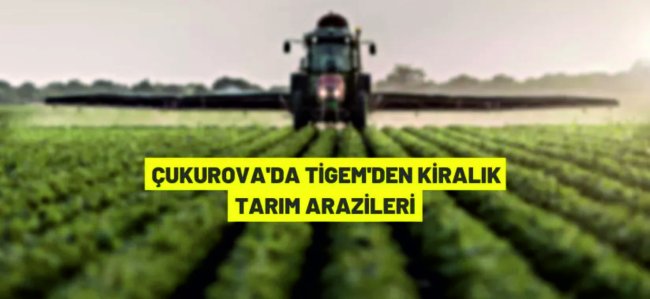 TİGEM'den kiralık tarım arazileri