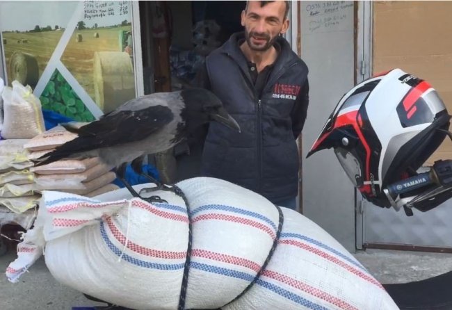 BORÇKA”NIN MASKOTU OLDU