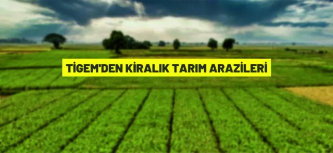 Çukurova Tarım İşletmesi Müdürlüğü, tarım arazilerini kiraya verecek