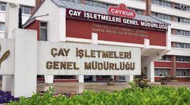 Çaykur işçileri iş başı yapıyor