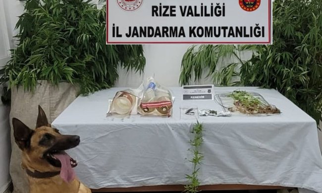 Jandarma Temmuz raporu çıktı