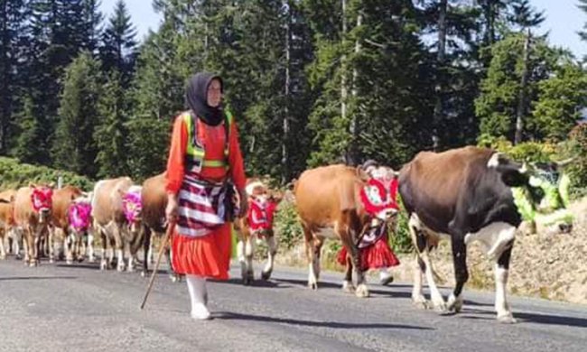 YAYLALARDAN DÖNÜŞ BAŞLIYOR