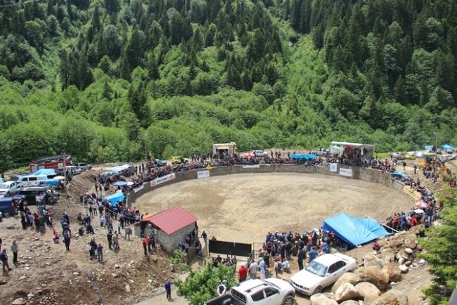 AYDER FESTİVALI BAŞLIYOR