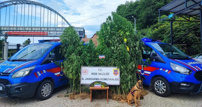 JANDARMA TEMMUZ AYINI BOŞ GEÇMEDİ