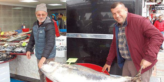 “HAMSİ Yİ GÜRCİSTAN YOK EDİYOR”