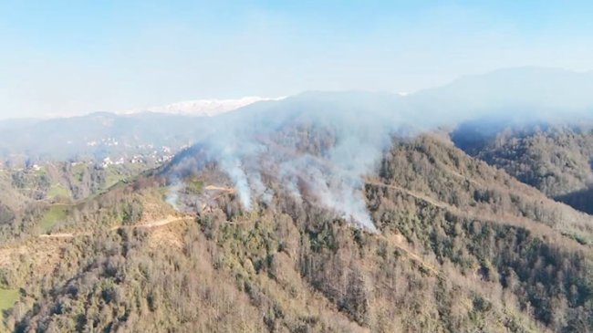 PAZAR’DA ANIZ İLE BAŞLAYAN YANGIN ORMANA SIÇRADI