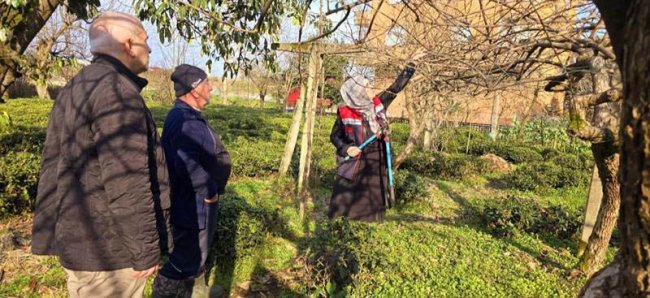 ÜRETİCİYE BUDAMA EĞİTİMİ